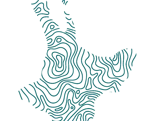 NZ Map Motif