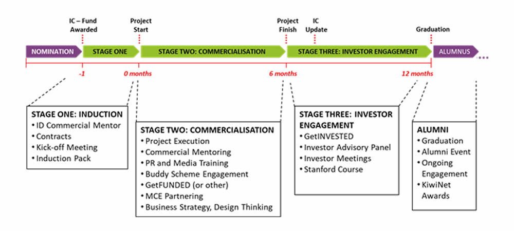 Emerging Innovator Programme Structure
