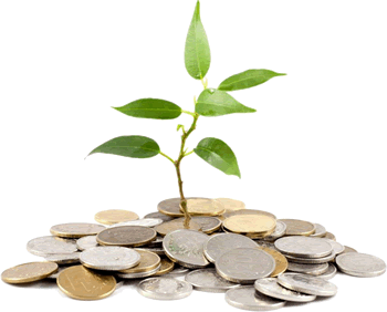 Tree growing from money