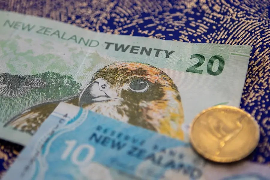Reaction: Budget 2025
