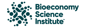 BSI Logo