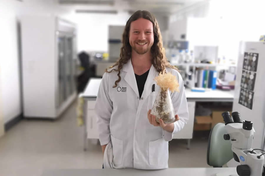 Cultivating the culinary delights of New Zealand’s native mushrooms