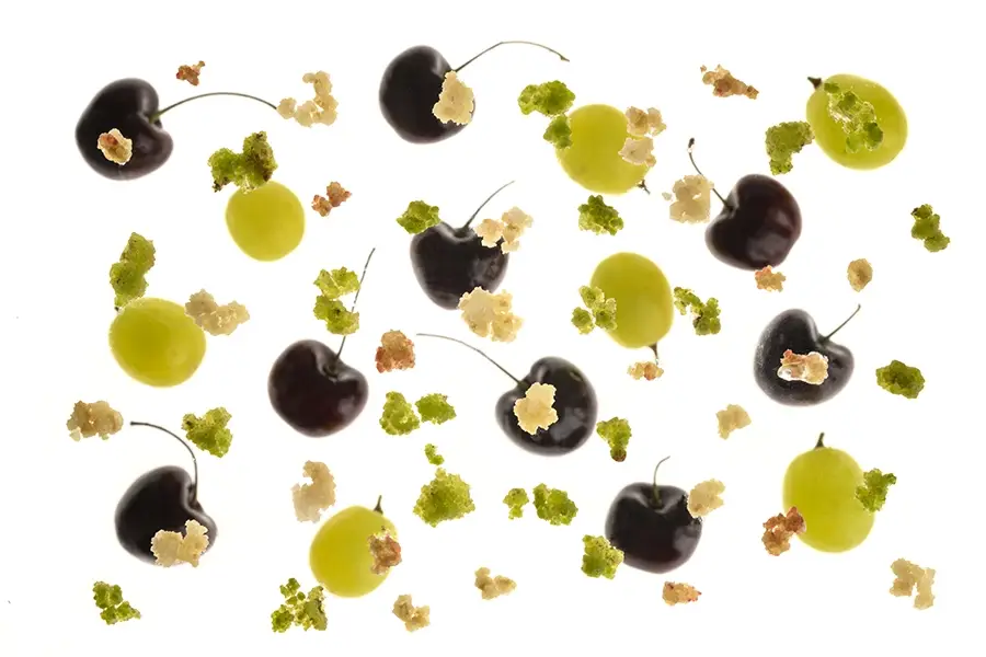 Forever Harvest: Growing the future of fruit and nut ingredients