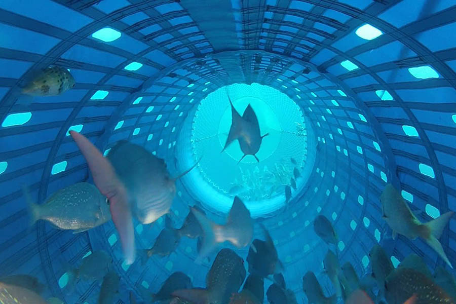 Precision SeaFood Harvesting