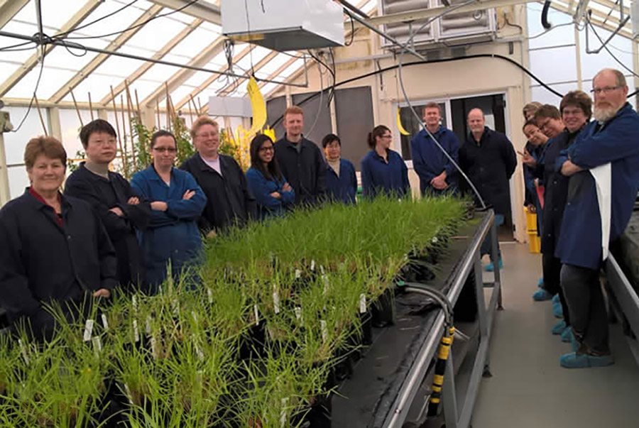AgResearch - ZeaKal