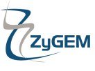 zygem